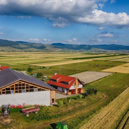 Kavalliera Pensiune Cotormani Dış mekan fotoğraf