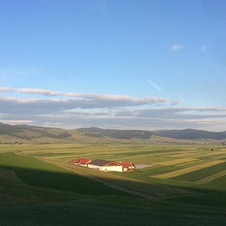 Kavalliera Pensiune Cotormani Dış mekan fotoğraf