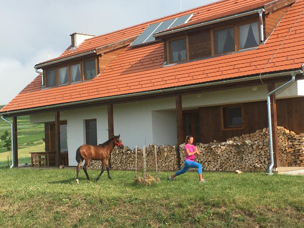 Kavalliera Pensiune Cotormani Dış mekan fotoğraf